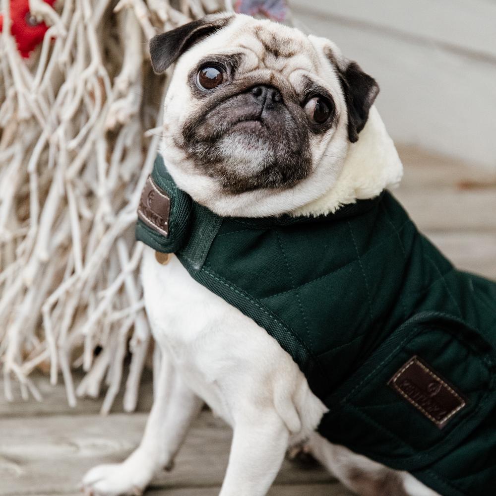 Dog Coat Original | Kentucky Dogwear | Warmth — Image 12