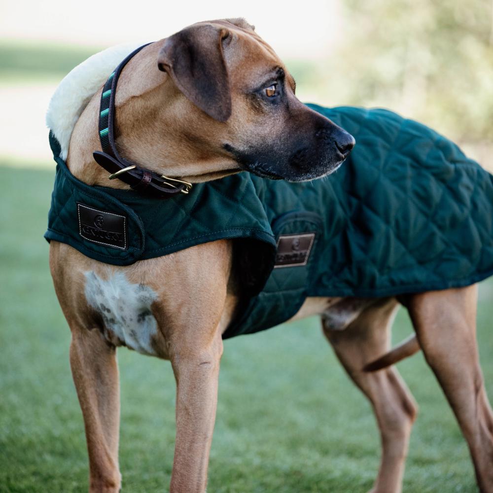 Dog Coat Original | Kentucky Dogwear | Warmth — Image 13