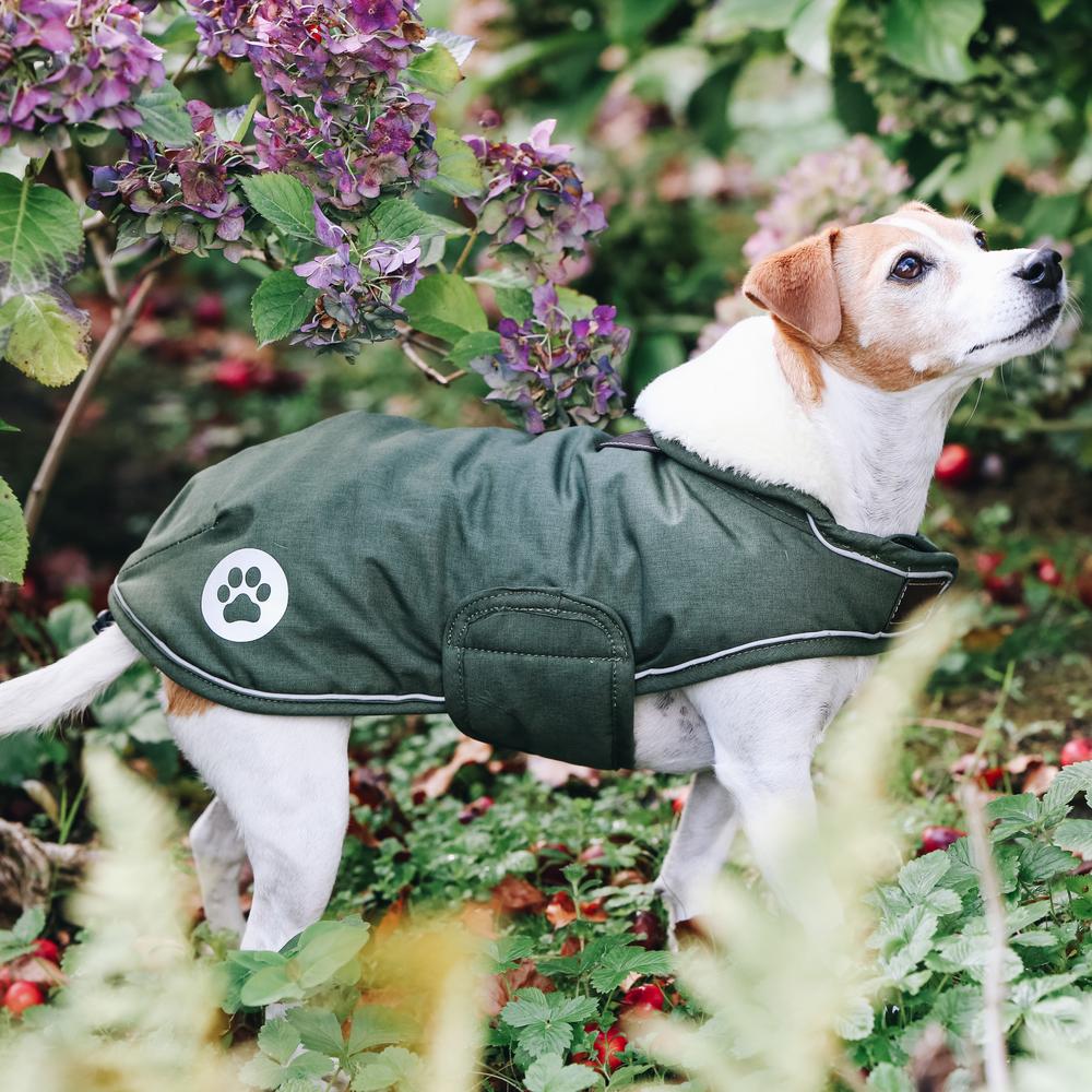 Dog Coat Waterproof 300g | Kentucky Dogwear | Waterproof — Image 4