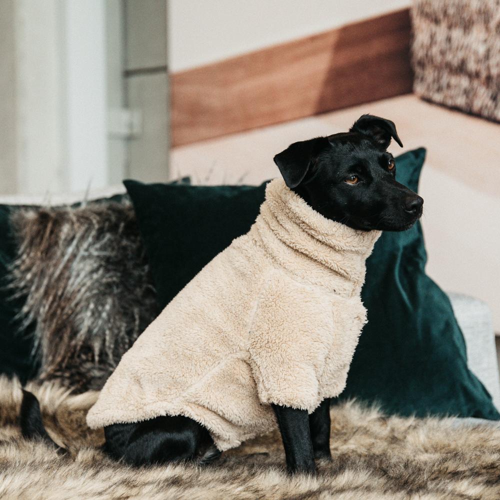 Dog Sweater Teddy Fleece | Kentucky Dogwear | Warmth — Image 4