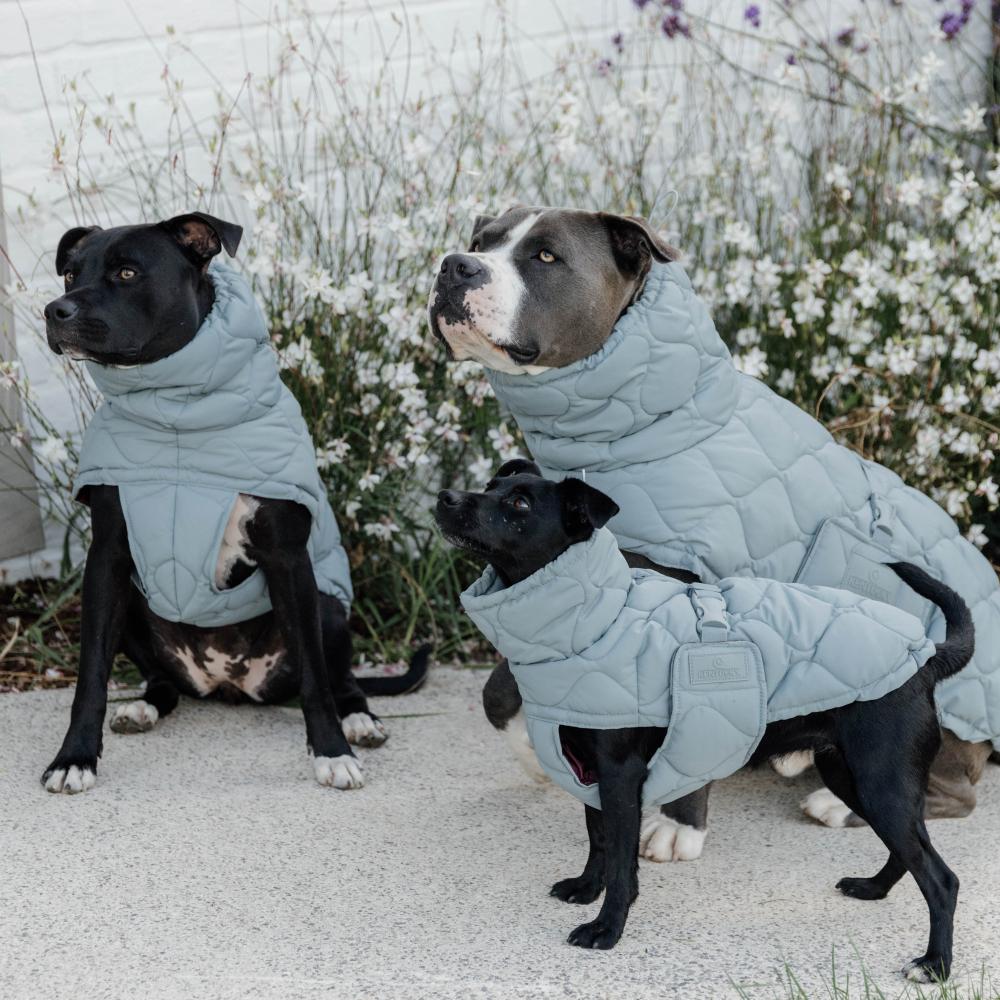 Dog Coat Winter Pina | Kentucky Dogwear | Stylish — Image 9