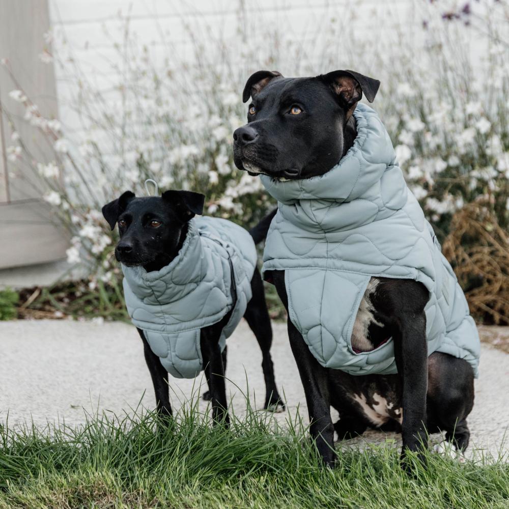 Dog Coat Winter Pina | Kentucky Dogwear | Stylish — Image 12