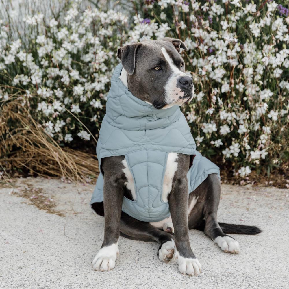 Dog Coat Winter Pina | Kentucky Dogwear | Stylish — Image 13