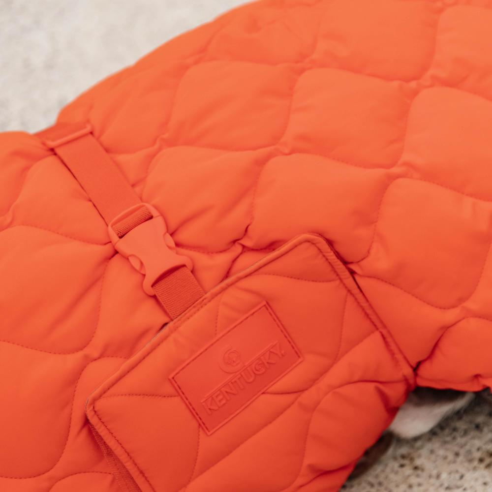Dog Coat Winter Pina | Kentucky Dogwear | Stylish — Image 3