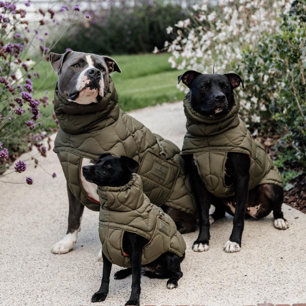 Dog Coat Winter Pina | Kentucky Dogwear | Stylish — Image 7