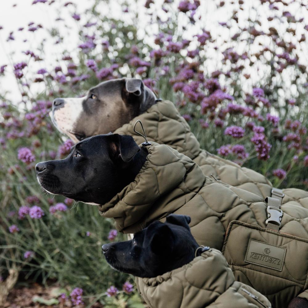 Dog Coat Winter Pina | Kentucky Dogwear | Stylish — Image 11