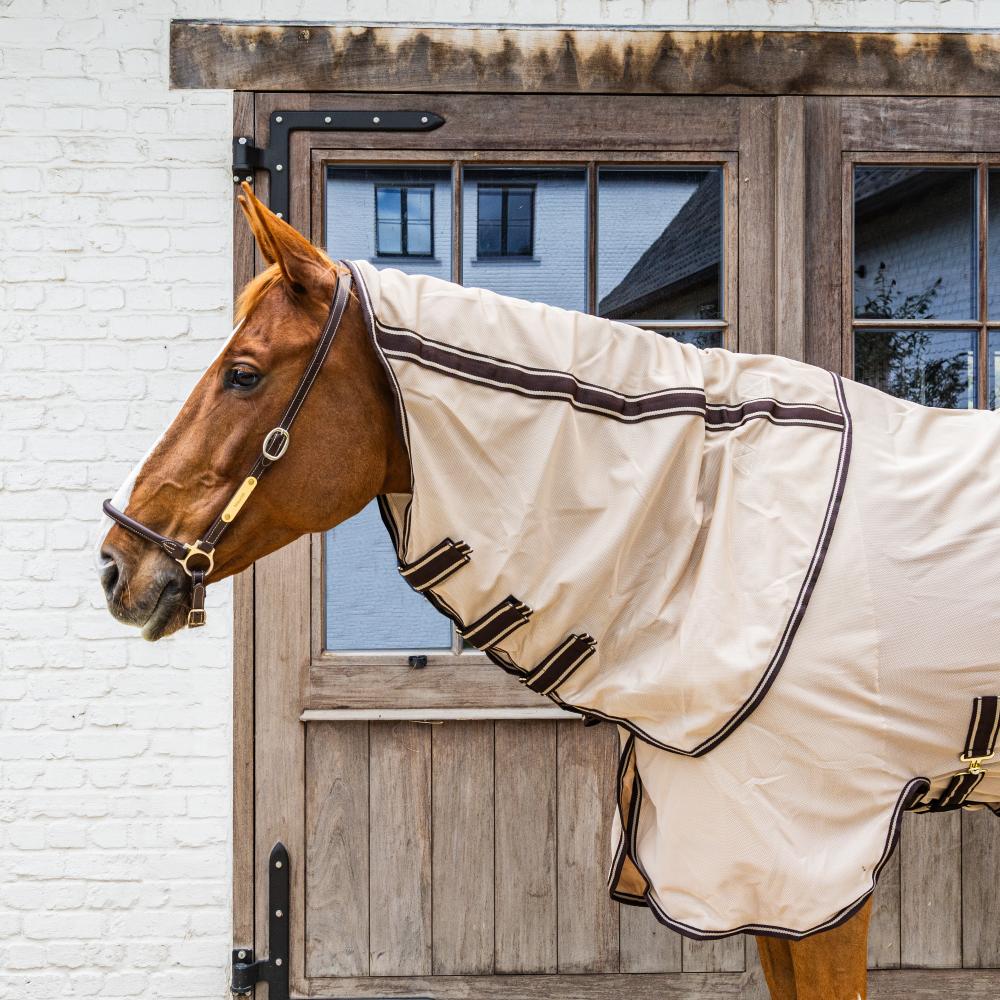 Mesh Fly Rug Comfort | Kentucky Horsewear | Durability — Image 3