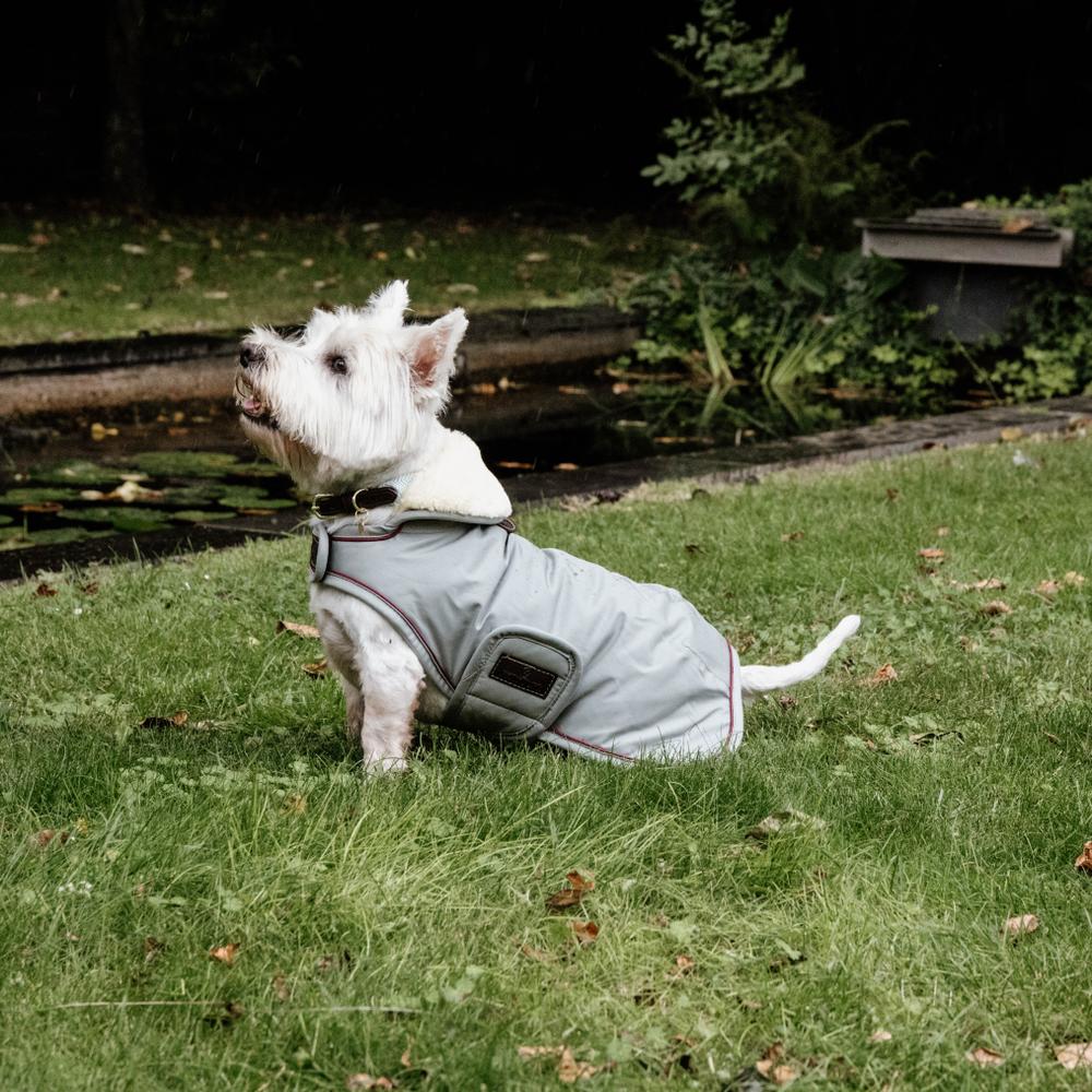 Dog Coat Waterproof 160g | Kentucky Dogwear | Waterproof — Image 7