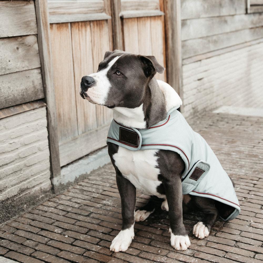 Dog Coat Waterproof 160g | Kentucky Dogwear | Waterproof — Image 10