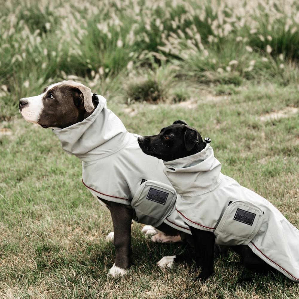 Dog Raincoat | Kentucky Dogwear | lightweight — Image 3