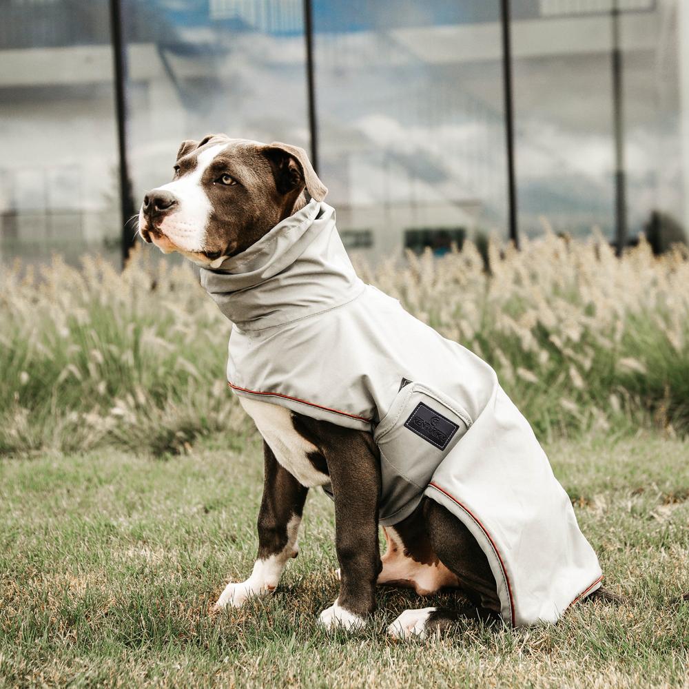 Dog Raincoat | Kentucky Dogwear | lightweight — Image 4
