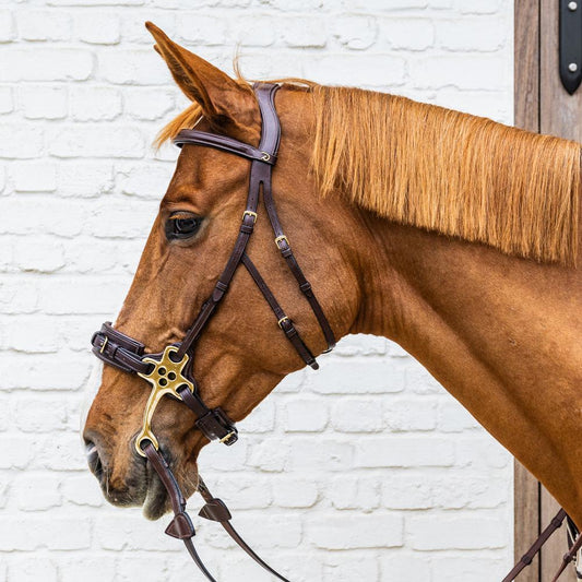 Hackamore | Dy'on | DurableLeather — Image 2