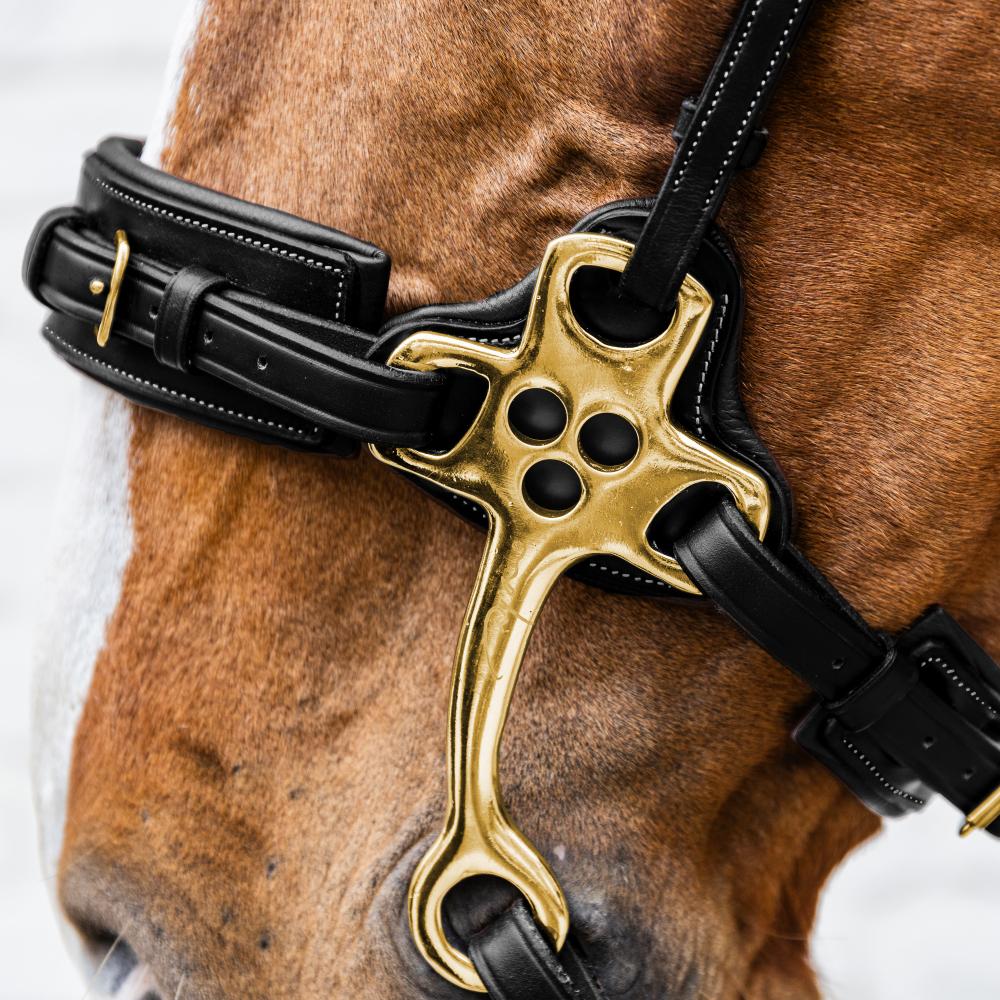 Hackamore | Dy'on | DurableLeather — Image 6