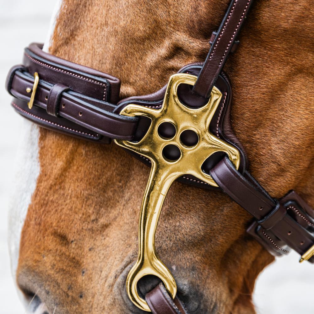 Hackamore | Dy'on | DurableLeather — Image 3