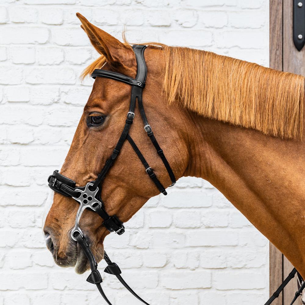 Hackamore NE | Dy'on | Durable — Image 8