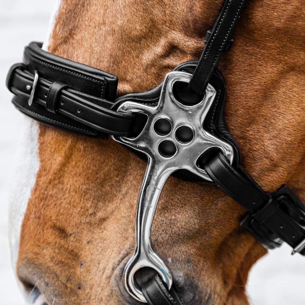 Hackamore NE | Dy'on | Durable — Image 9