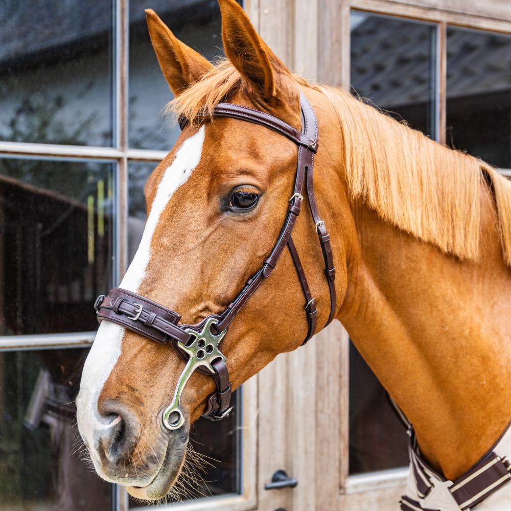 Hackamore NE | Dy'on | Durable — Image 2