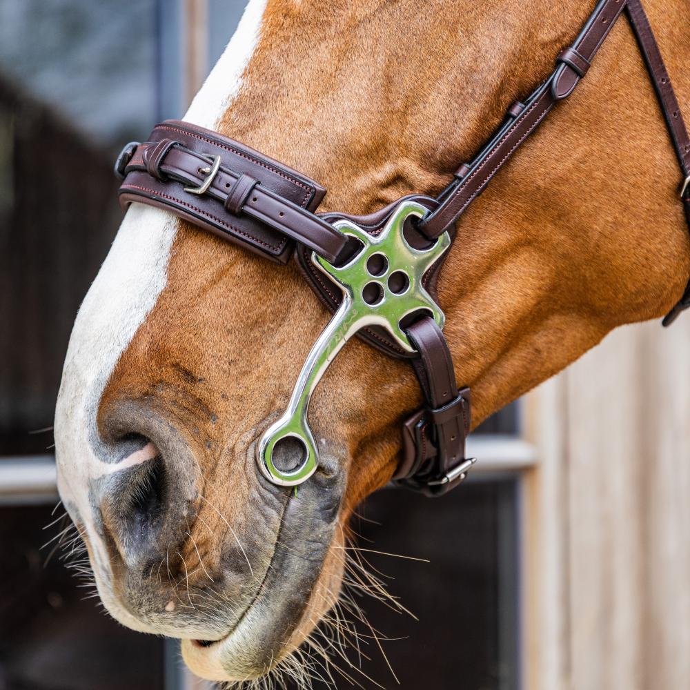 Hackamore NE | Dy'on | Durable — Image 3