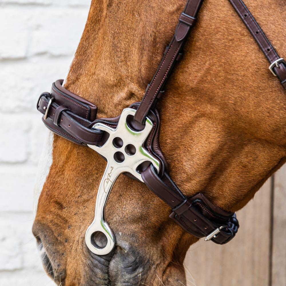 Hackamore NE | Dy'on | Durable — Image 4