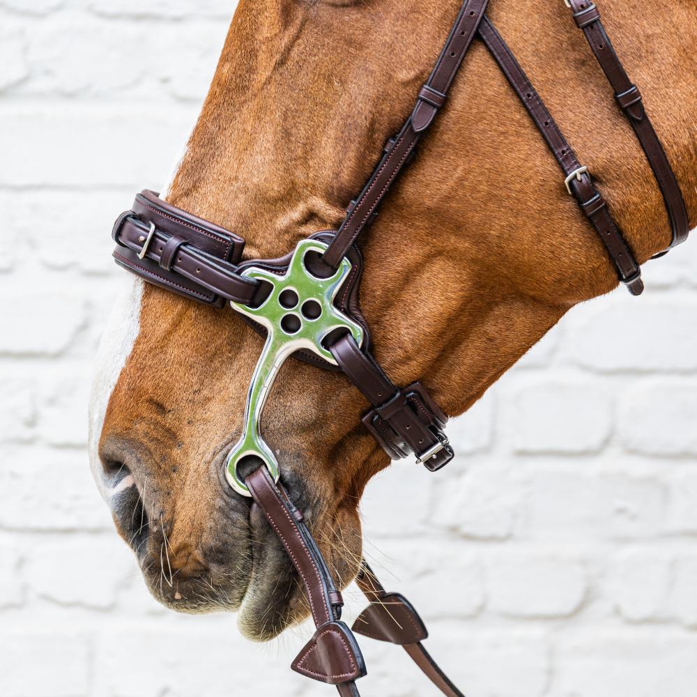 Hackamore NE | Dy'on | Durable — Image 5