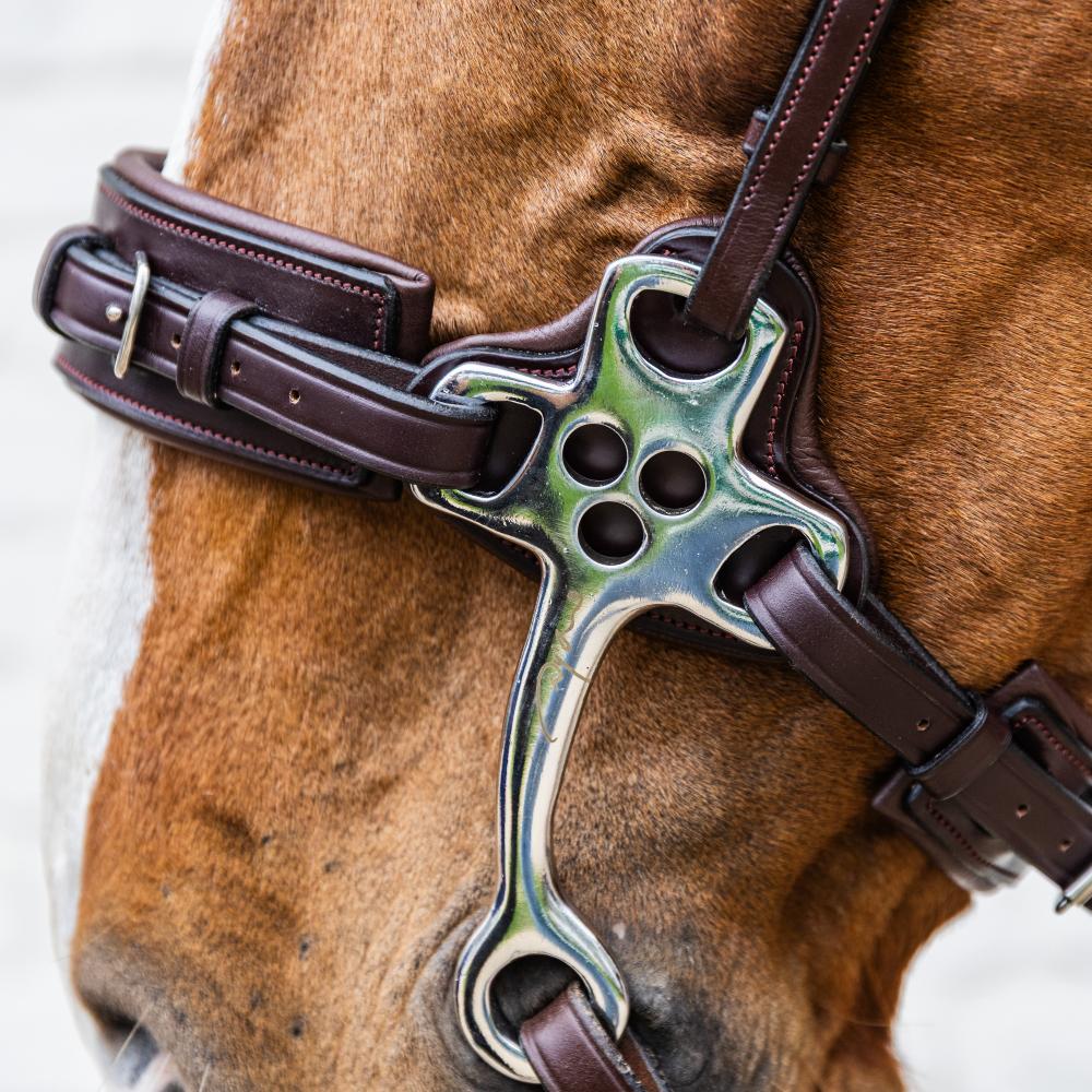 Hackamore NE | Dy'on | Durable — Image 6