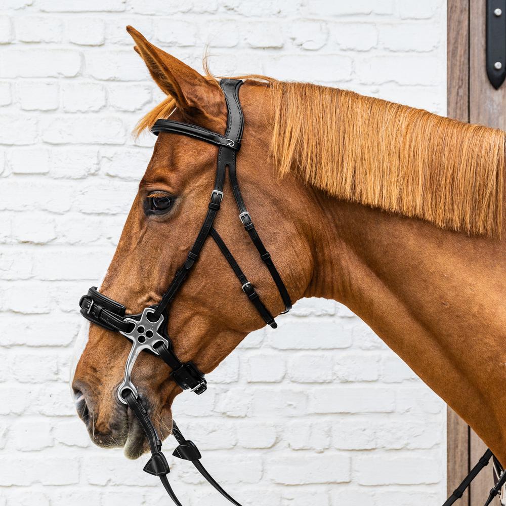 Hackamore Bridle NE | Dy'on | Style — Image 4