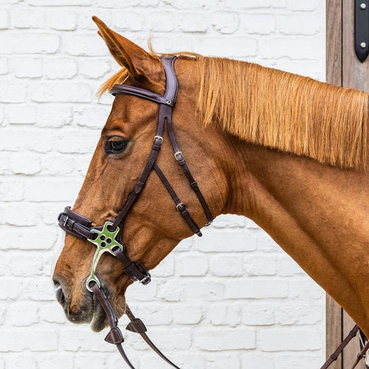 Hackamore Bridle NE | Dy'on | Style — Image 2
