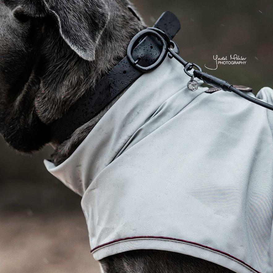 Dog Collar Soft Rubber | Kentucky Dogwear | Comfort — Image 6