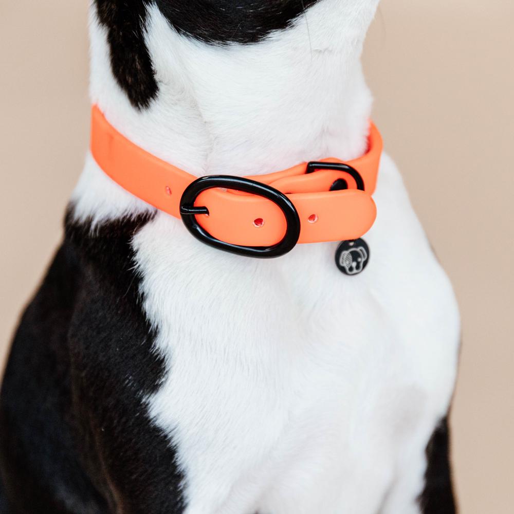 Dog Collar Soft Rubber | Kentucky Dogwear | Comfort — Image 8
