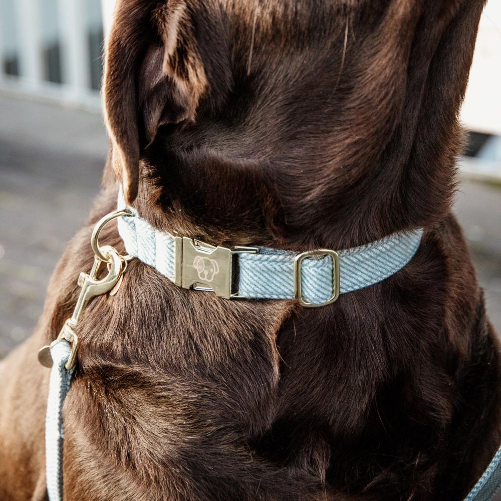Dog Collar Wool | Kentucky Dogwear | Stylish — Image 6