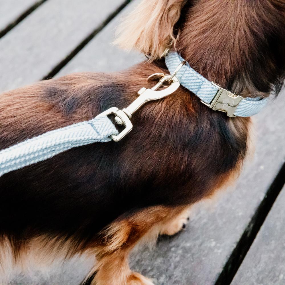 Dog Collar Wool | Kentucky Dogwear | Stylish — Image 10