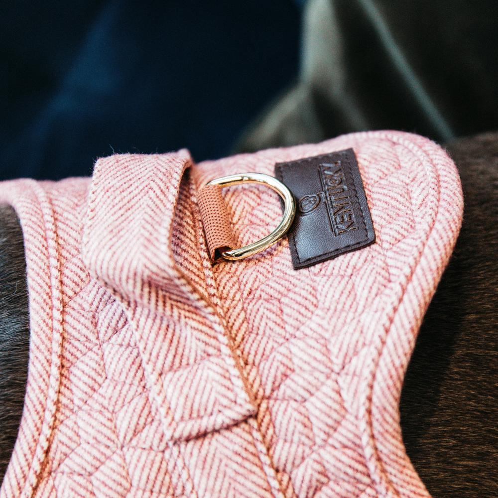 Dog Harness Body Safe Wool | Kentucky Dogwear | Comfort — Image 4