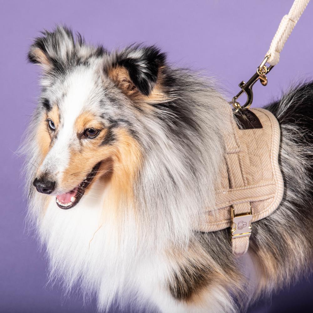 Dog Harness Body Safe Wool | Kentucky Dogwear | Comfort — Image 9