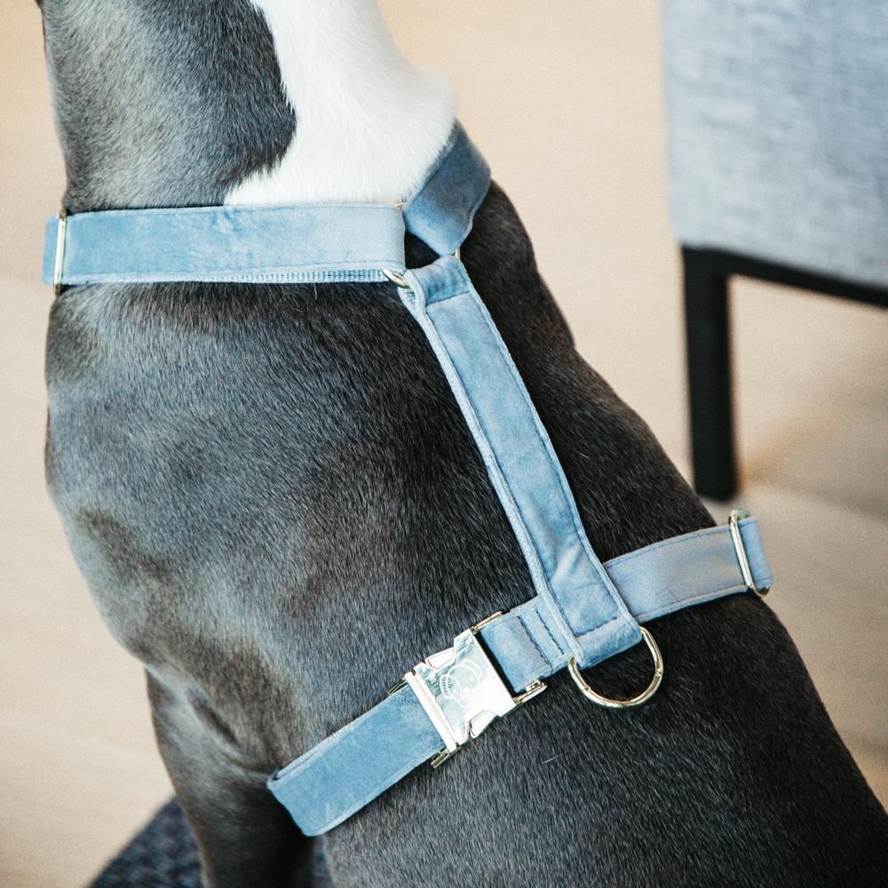 Dog Harness Loop Velvet | Kentucky Dogwear | Comfort — Image 2