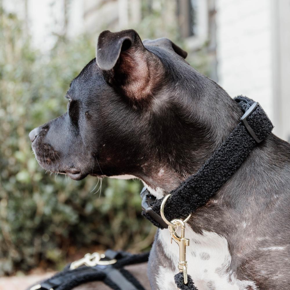 Dog Collar Teddy Fleece | Kentucky Dogwear | Comfort — Image 9