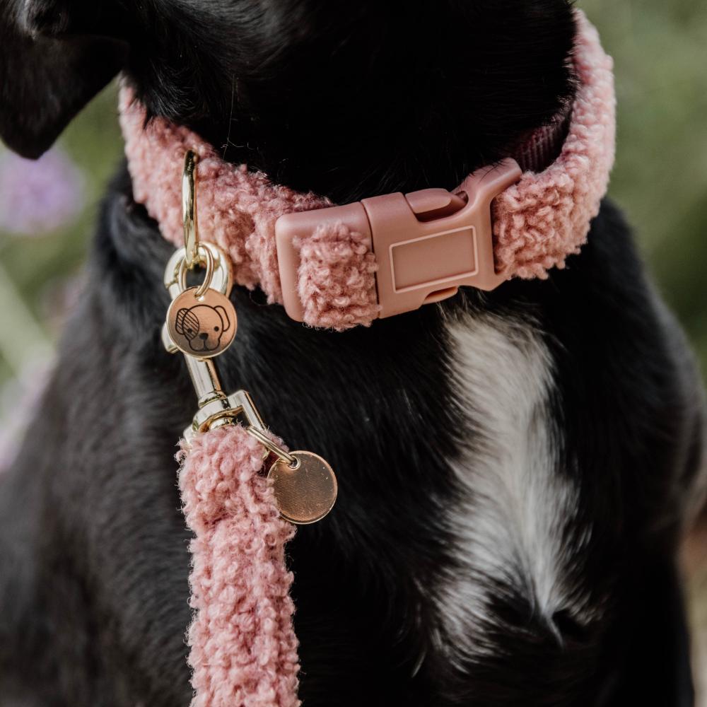 Dog Collar Teddy Fleece | Kentucky Dogwear | Comfort — Image 3