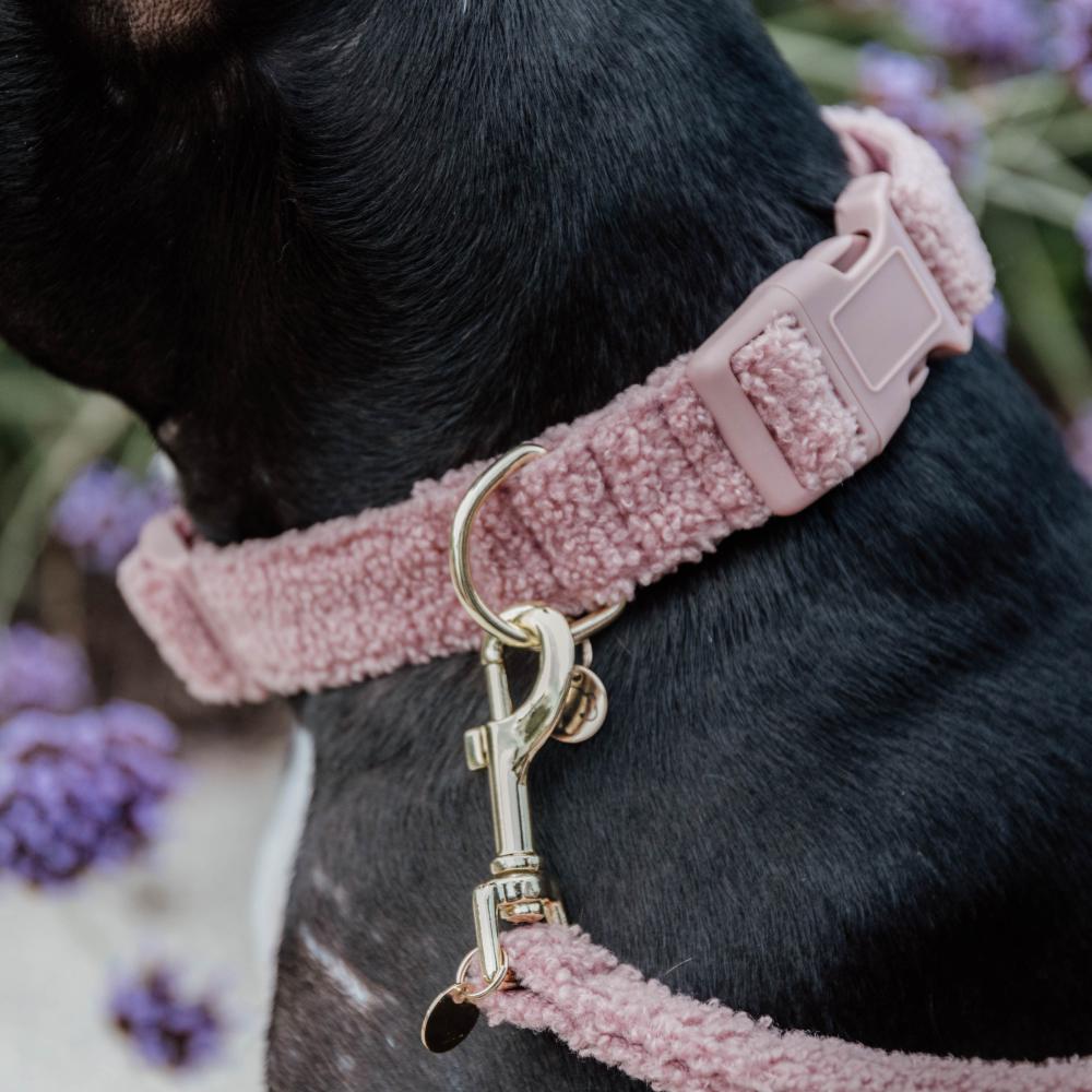 Dog Collar Teddy Fleece | Kentucky Dogwear | Comfort — Image 4