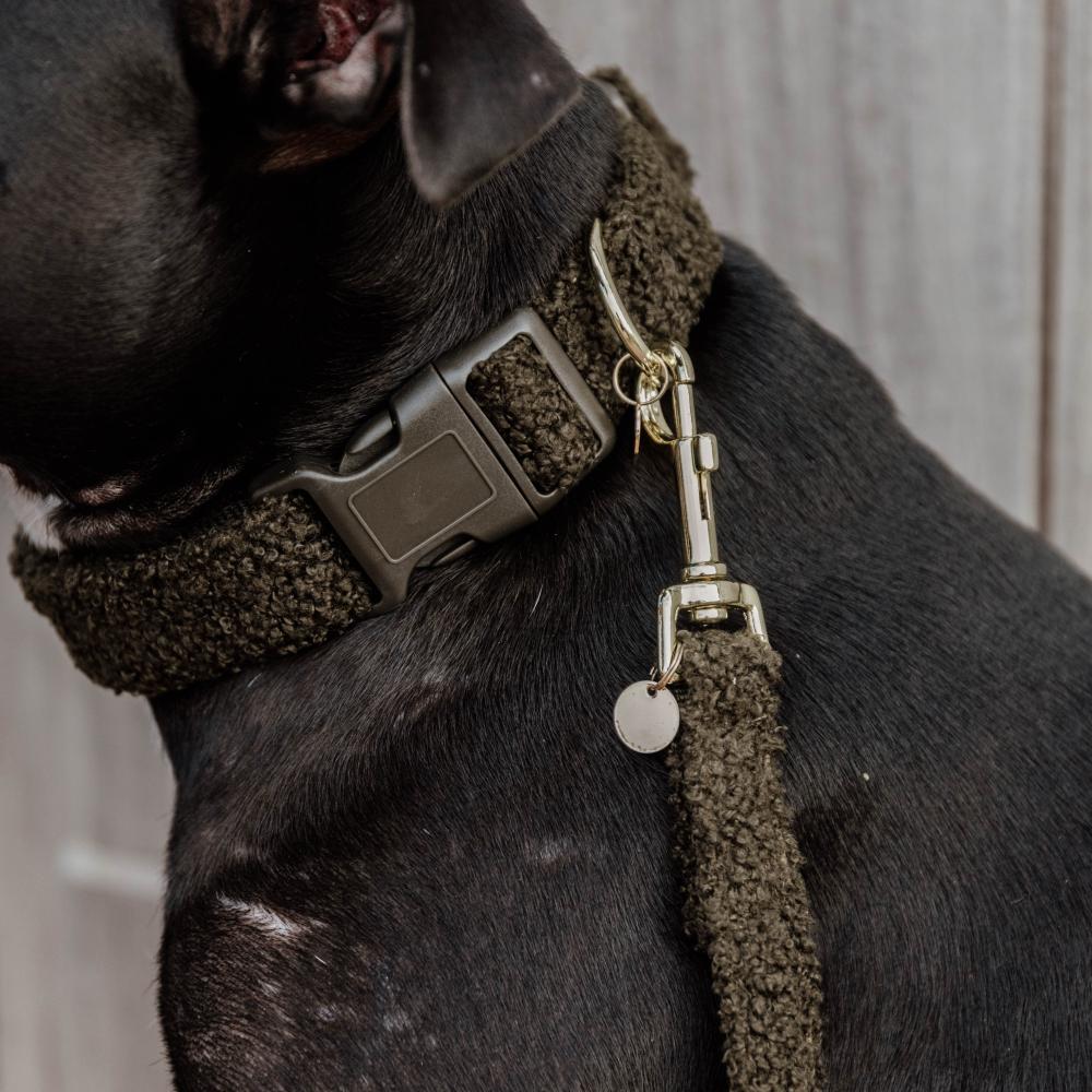 Dog Collar Teddy Fleece | Kentucky Dogwear | Comfort — Image 10