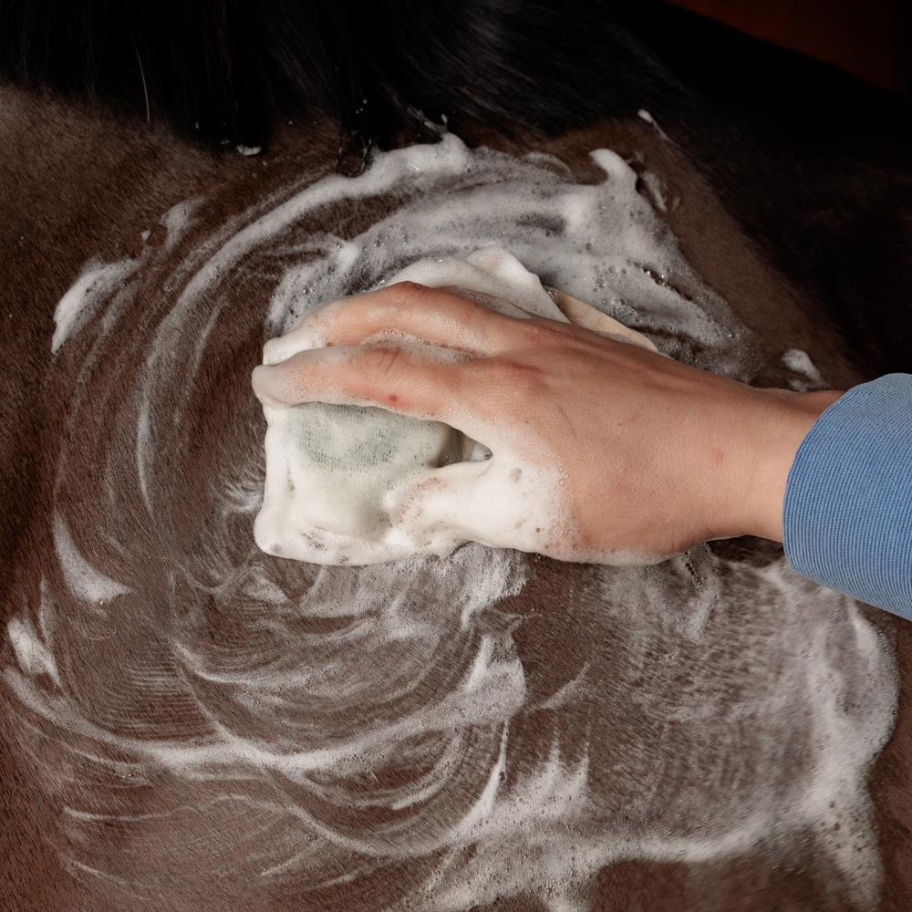 GD Shampoo Bar | Grooming Deluxe | sustainable — Image 9
