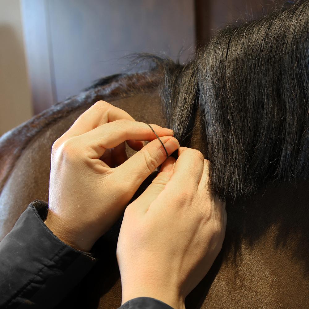 Grooming Deluxe Rubber Bands | Grooming Deluxe | Durable — Image 3