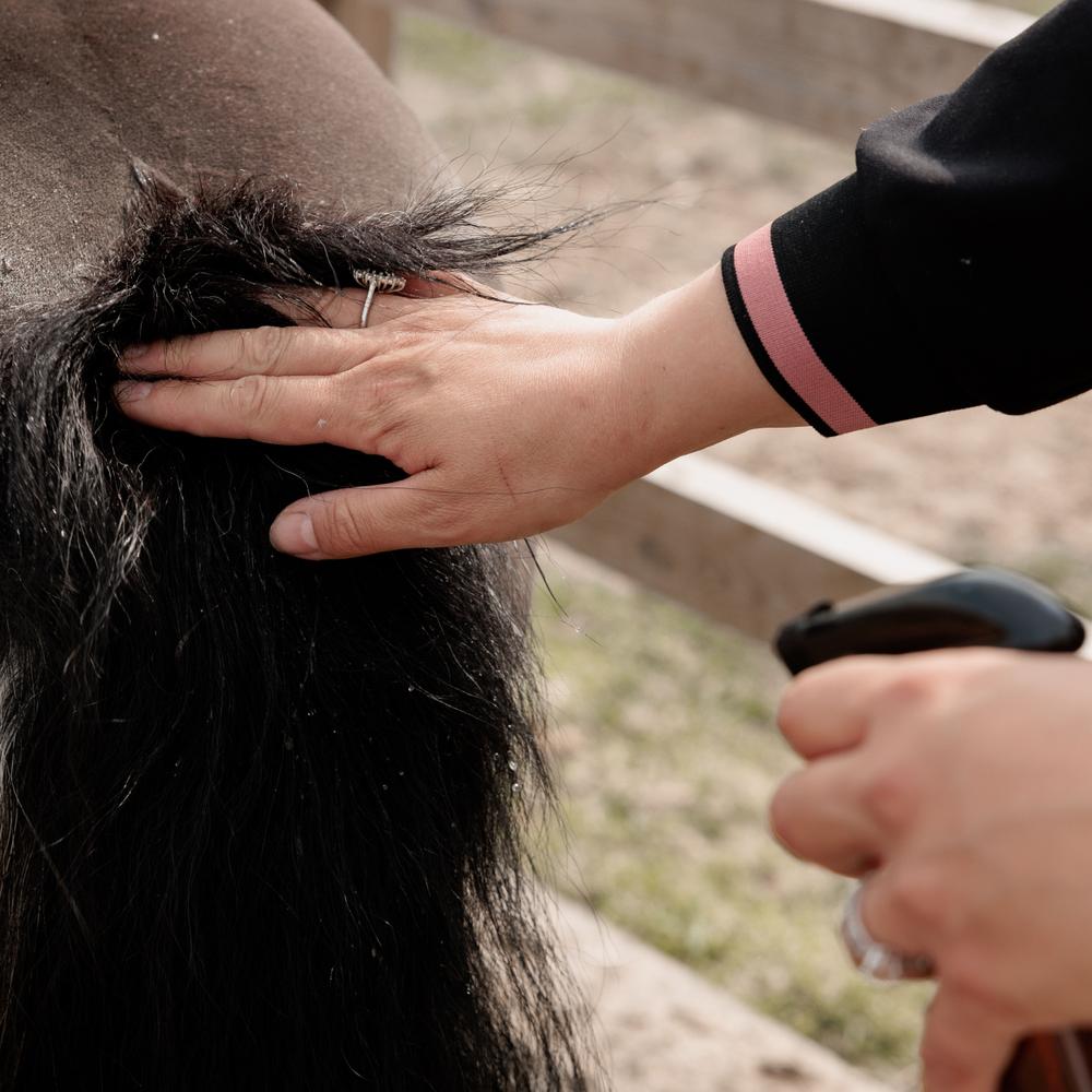 Itch Stop Plus | Grooming Deluxe | soothing — Image 4
