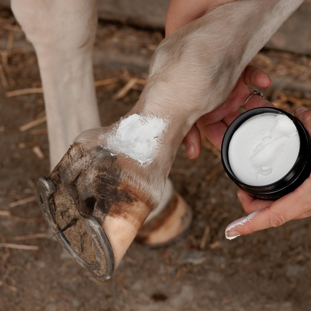 GD Mud Fever Cream Plus | Grooming Deluxe | Grooming — Image 3