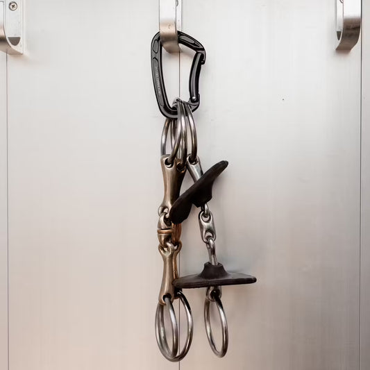 Metal horse bits hanging on a white wall