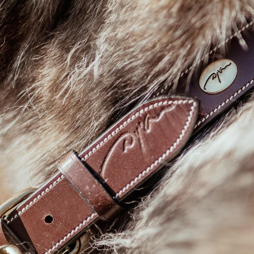 Flat Leather Dog Collar | Dy'on | premiumleather