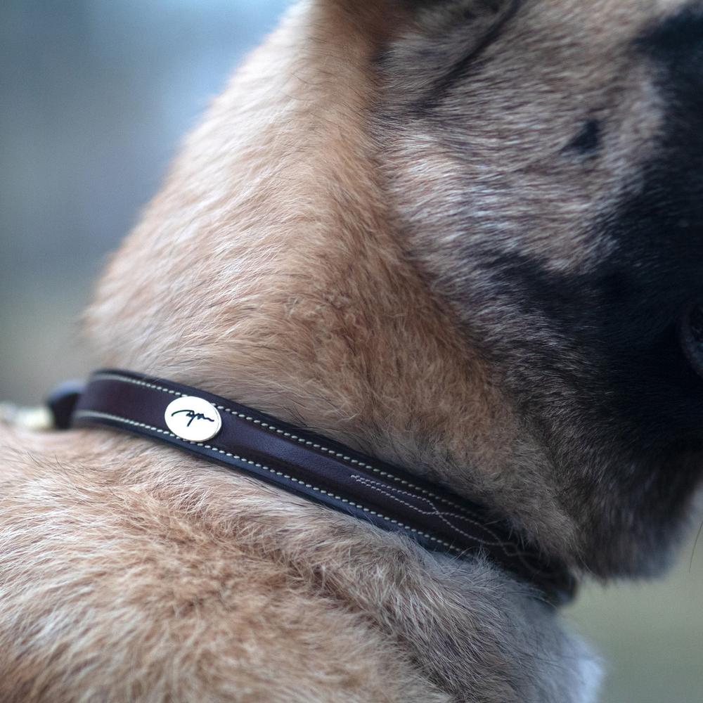 Fancy Dog Collar | Dy'on | elegance