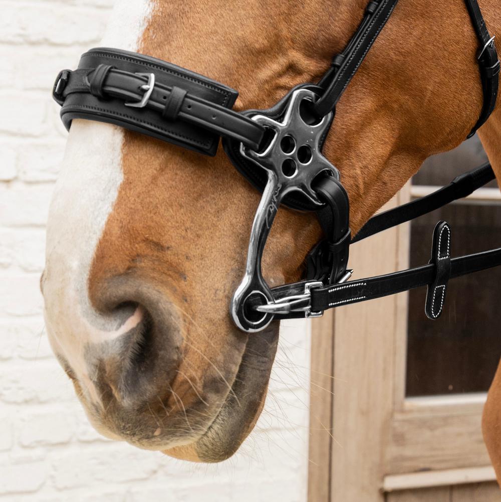 5/8 Rubber Reins with Leather Loops and Snap | Dy'on | — Image 5