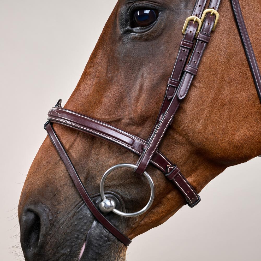 Flash Noseband Bridle DY | Dy'on | Versatile — Image 4