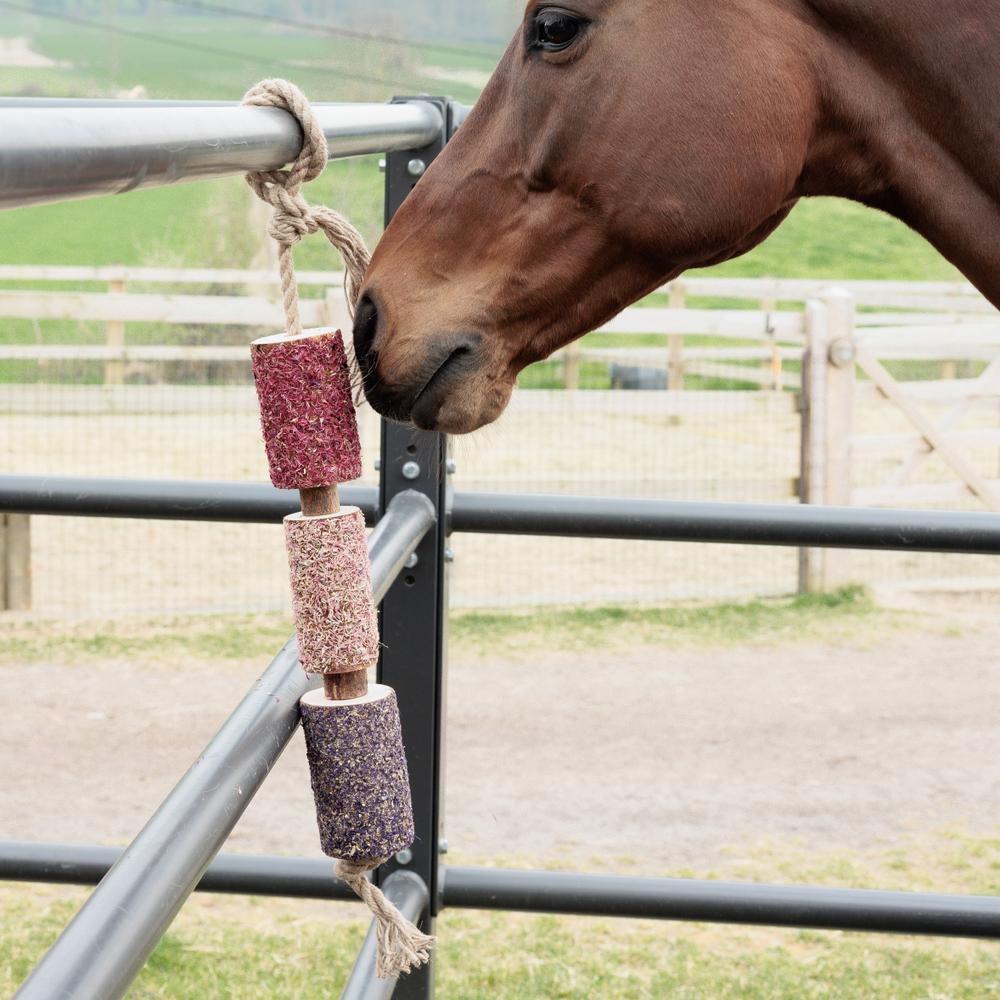 Wooden Relax Horse Toy  | Grooming Deluxe | Comfort — Image 11