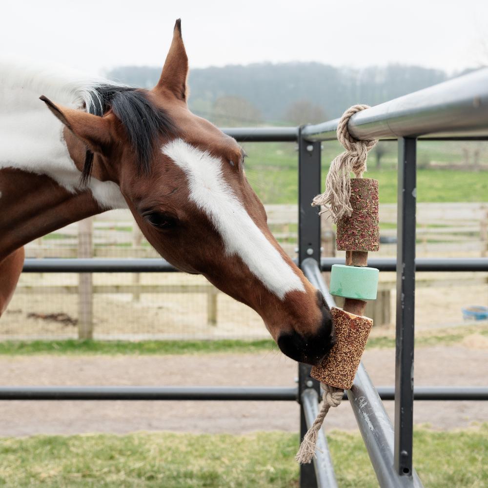 Wooden Relax Horse Toy with Salt Lick | Grooming Deluxe | Comfort — Image 11
