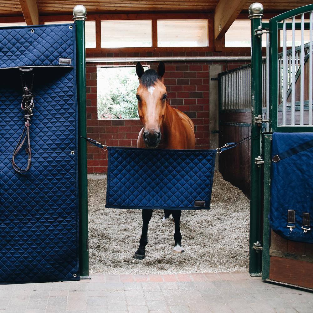Stable Guard | Kentucky Horsewear | Comfort — Image 4
